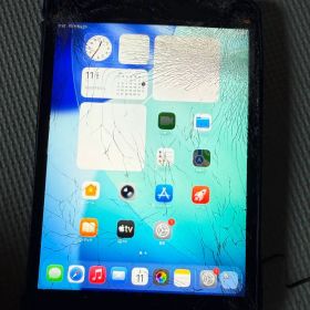 iPad mini 第5世代 256GB Wi-Fi（ジャンク）