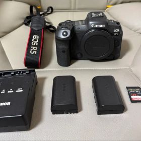 Canon EOS R5 本体 バッテリー2個 充電器 SDカード付き