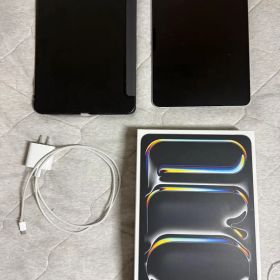 iPad pro M4 11インチ 256GB cellularモデル