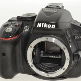 260674★極上★Nikon デジタル一眼レフカメラ D5300 ブラック 2400万画素 3.2型液晶 D5300BK