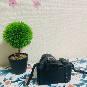 Canon EOS R50 コンパクトデジタルカメラ