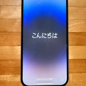 Apple iPhone 14 Pro 本体 シルバー 256GB