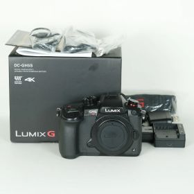 [美品 | シャッター数3,985回] Panasonic LUMIX DC-GH5S | マイクロフォーサーズマウント