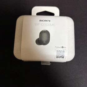SONY ワイヤレスイヤホン wf-1000xm6 (ジャンク品) WF-1000XM6 中古 11,111円 | ネット最安値の価格比較 プライスランク