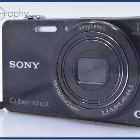 ソニー SONY Cyber-shot DSC-WX220 10X バッテリー付属 同梱無料 #ks851