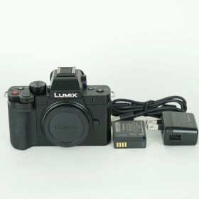 [美品 | シャッター数1,815回] Panasonic LUMIX DC-G100D ボディ | マイクロフォーサーズマウント