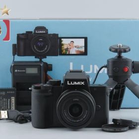 【中古】Panasonic パナソニック LUMIX DC-G100 標準ズームレンズキット シャッター回数僅少 元箱付き