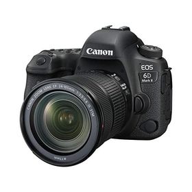 Canon EOS 6D Mark II 24-105 IS STM レンズキット 良品 動作確認済み 1ヶ月保証付 高性能
