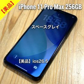 【美品】パネル新品iPhone11ProMax スペースグレイ 256GB
