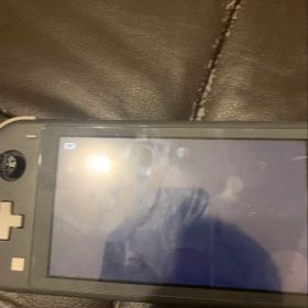 Nintendo Switch Lite 本体 グレー
