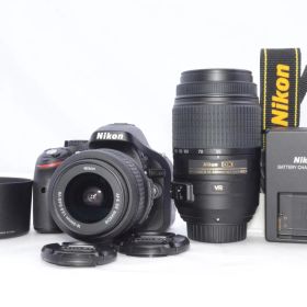 Nikon D5200 ダブルズームキット 望遠撮影対応 エントリー一眼 コンディション良好