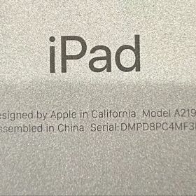 Apple iPad A2197 本体