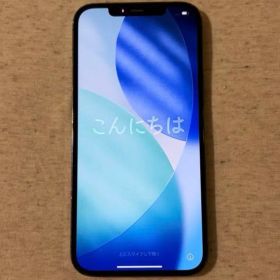 iPhone 12 Pro Max 256GB | 動作確認済み