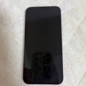 Apple iPhone 13 本体