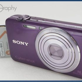 【動作保証】 SONY ソニー Cyber-shot DSC-WX30 バッテリーのみ付属 同梱無料 #i11321