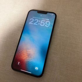Apple iPhone 13 Pro max 本体