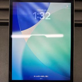 Apple iPad mini第5世代 本体 スペースグレイ