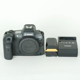 [良品 | シャッター数533,550回｜バッテリー2個付] Canon EOS R5 | Canon RFマウント
