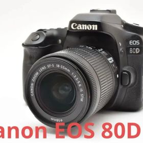 デジタル 一眼レフ カメラ Canon EOS 80D標準レンズセット/