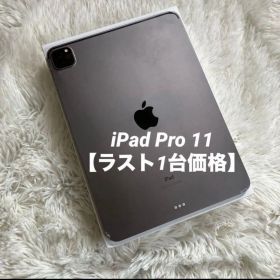 【早い者勝ち】iPad Pro 11インチ 第2世代 512GB 【すぐ発送】