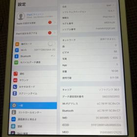 Apple iPad mini 2 16GB 本体