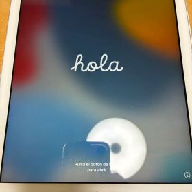 Apple iPad 第6世代 32GB 本体