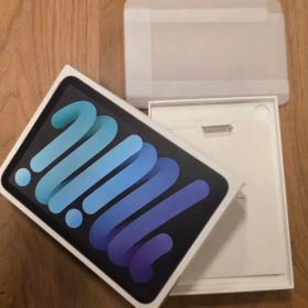 Apple iPad mini 本体