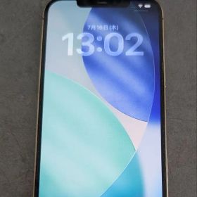 Apple iPhone 本体 12 PRO MAX 256 GB