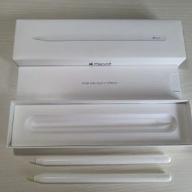 【2本セット】Apple Pencil (第2世代) 【ジャンク】
