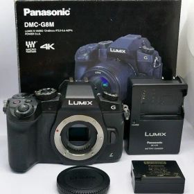 美品 Panasonic LUMIX DMC-G8 ミラーレス一眼本体のみ