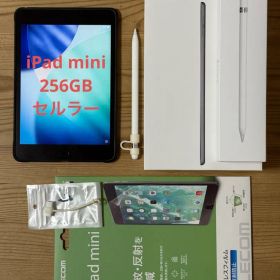 iPad mini 5 256GBセルラー Apple Pencil 他 セット