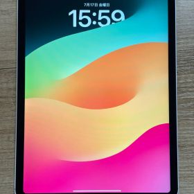 ☆画面傷なし☆iPad Pro 11インチ 第4世代 Wifi + Cell 256GB 中古