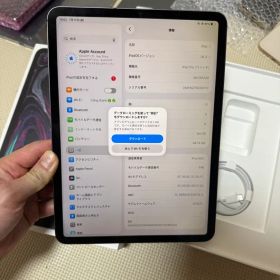 Apple iPad Pro 11インチ 本体
