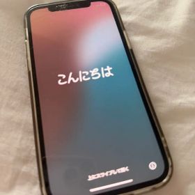 Apple iPhone 12 Pro 本体 グラファイト