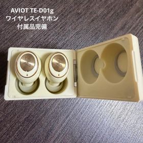 AVIOT TE-D01g ワイヤレスイヤホン 付属品完備
