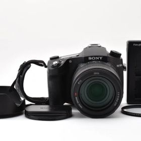 【美品】SONY DSC-RX10M4 IV 本体 Vario-Sonnar