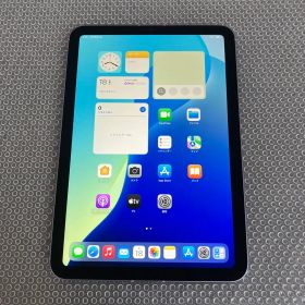 4450 美品☆電池良好☆iPad mini6 256GB SIMフリー☆