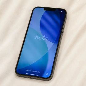 iPhone 13 Pro Max 512GB グラファイト 美品 本体のみ