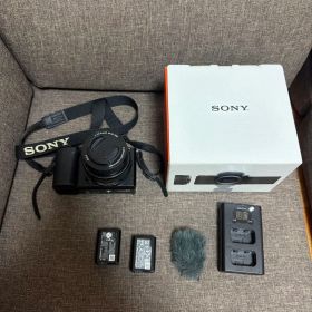【ボタン外れ・動作問題なし】SONY ZVE10
