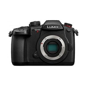 パナソニック(Panasonic) ミラーレス一眼カメラ ルミックス GH5M2 ボディ ブラック DC-GH5M2