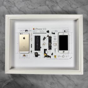 【特売品】iPhone 5S GOLD 標本アート ボックスフレーム仕様