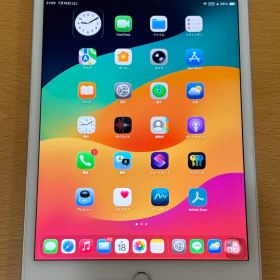 iPad mini5 64GB Cellular バッテリー92% SIMフリー