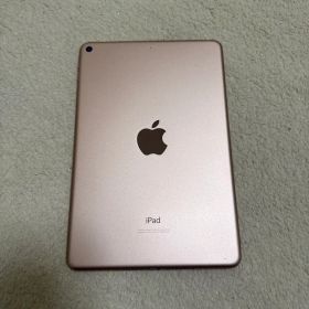 iPad mini5 256GBゴールドWi-Fi 付属品なし