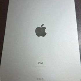 iPad pro11 インチ 256GB wifi