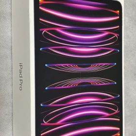 Apple 11インチ iPad Pro 第4世代 2TB Wi-Fi『新品』