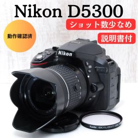 ❤️美品❤️ショット数少❤️Wi-Fi搭載❤️高画質❤️初心者向け Nikon D5300
