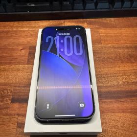 Apple iPhone14Pro シルバー 256GB その他おまけ有