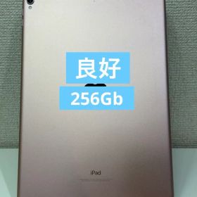【良好】✅ipad Pro 10.5インチ 256GB Wi-Fiモデル✨