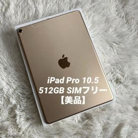 【1台限定価格】iPad Pro 10.5 512GB 【即発送】【付属品】