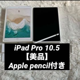 【早い者勝ち】iPad Pro 10.5 512GB 付属品多数！ 【すぐ発送】